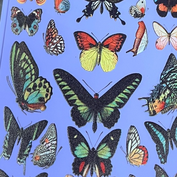 iPhone 14 Plus Case 6.7 Inch - with Camera Cover Cute Designed Butterfly - Picture 4 of 4